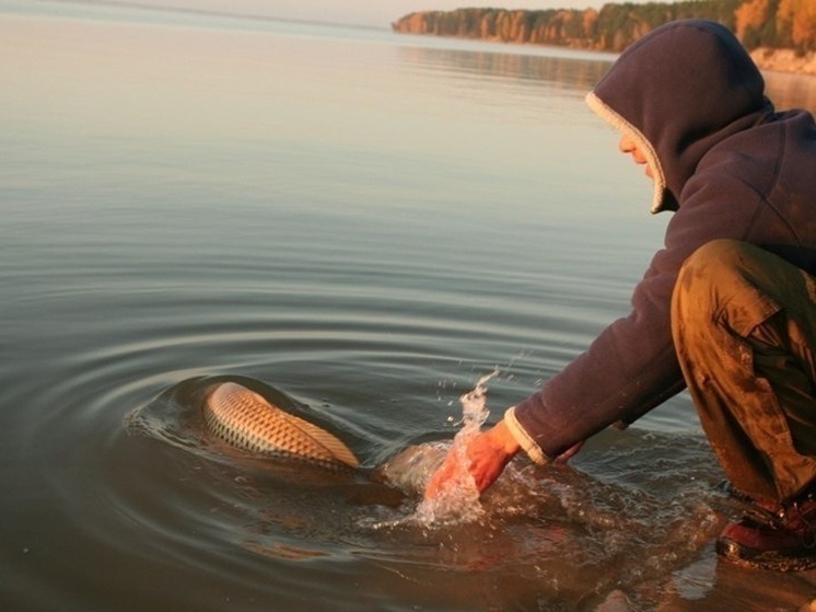 Обойтись без рыбалки советуют сегодня псковичам
