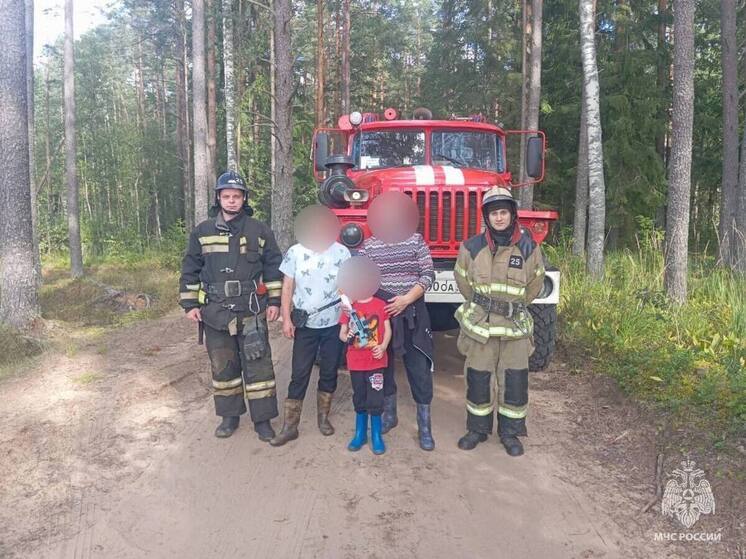 В Тверской области спасатели выводили из лесов заблудившихся грибников