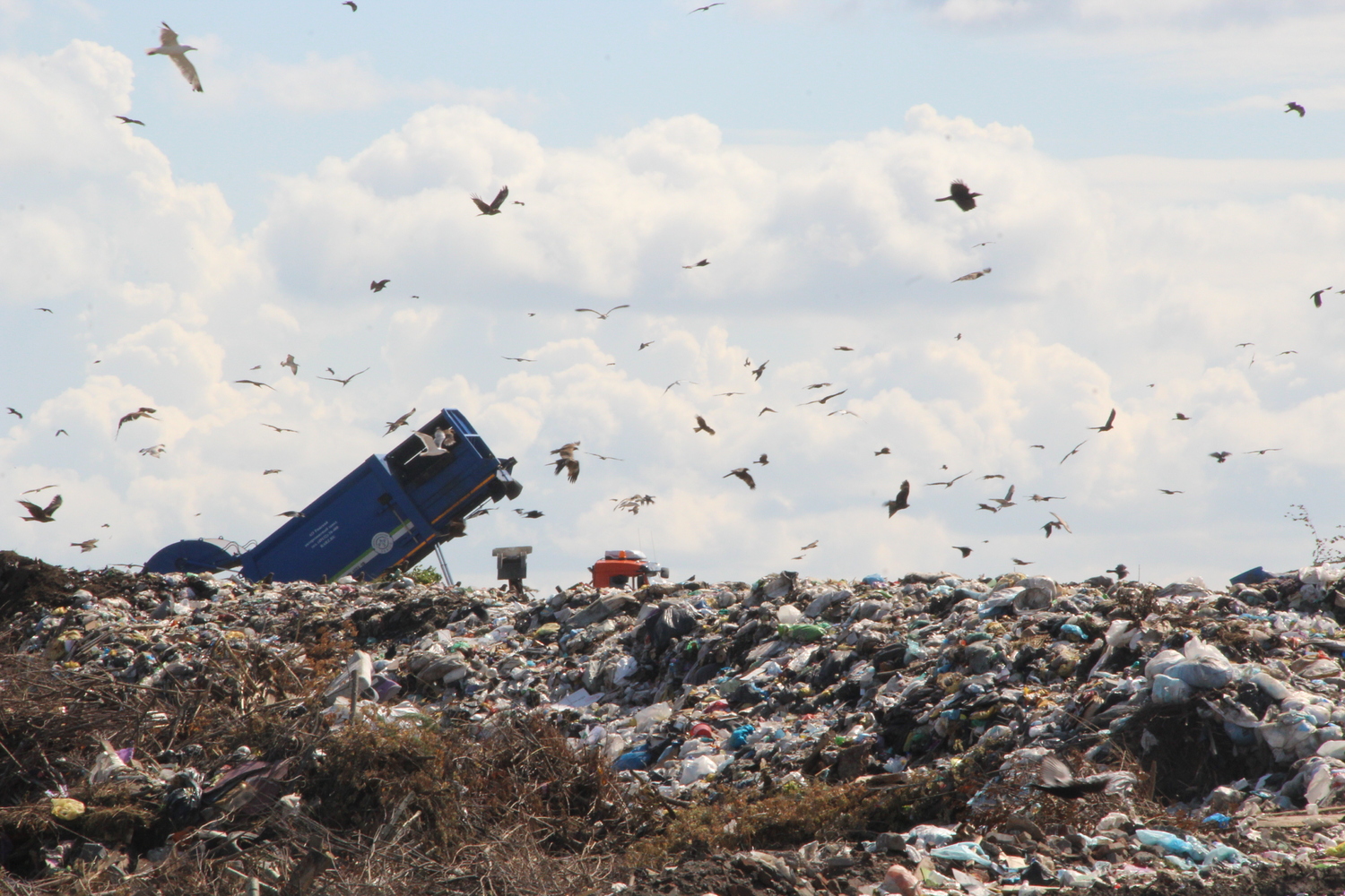 Пластмассовый мир победил. Как выглядит барнаульский полигон ТБО