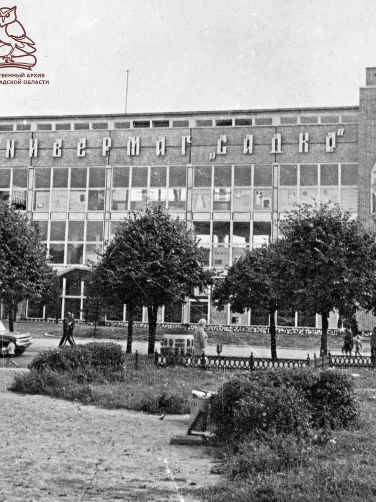 Калининградский архив показал здание открытого в 1970 году универмага «Садко»
