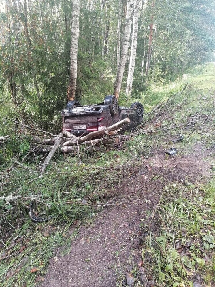 Водитель BMW не справился с управлением на трассе Псков – Гдов