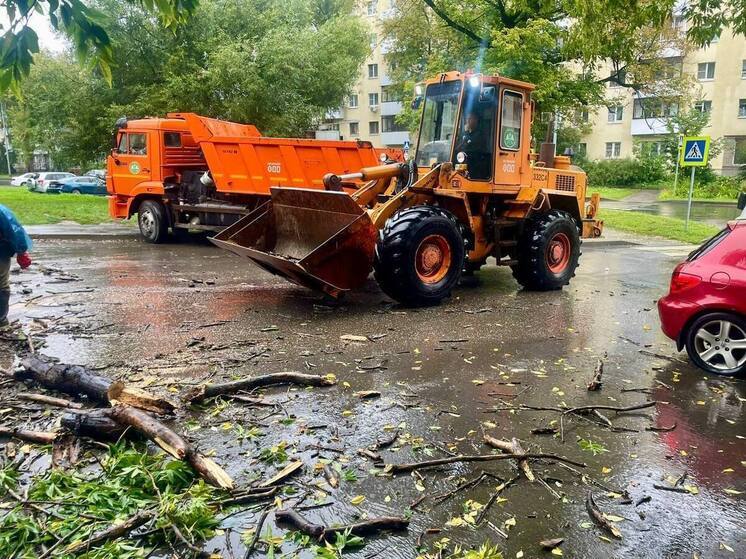 Месячная норма осадков выпала в Нижнем Новгороде в минувшие выходные