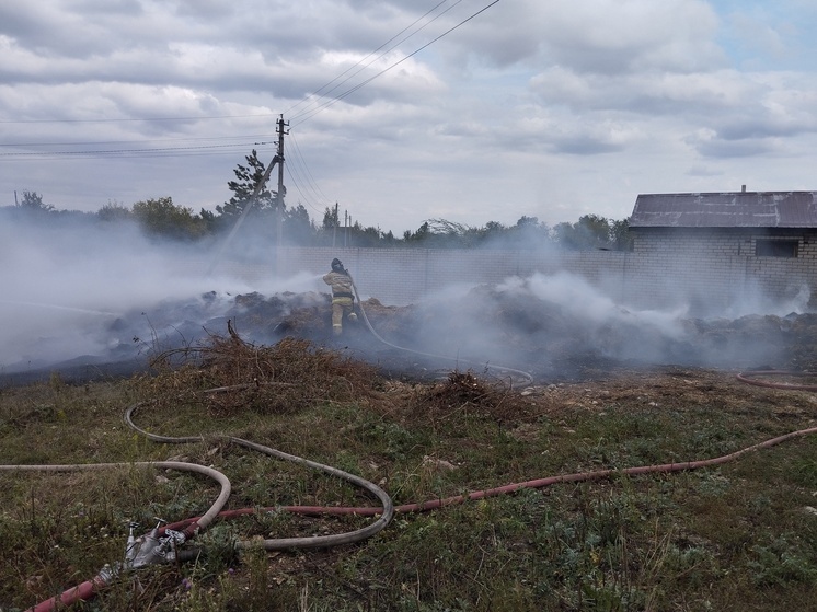 6 тонн сена тушили в Сызранском районе Самарской области днем 24 августа