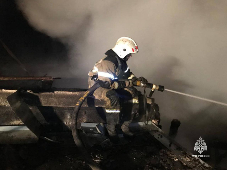 За недею в Ростовской области огнеборцы ликвидировали свыше 300 пожаров