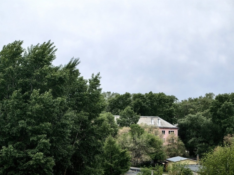 Синоптики Хакасии предупредили о грозах и сильном ветре