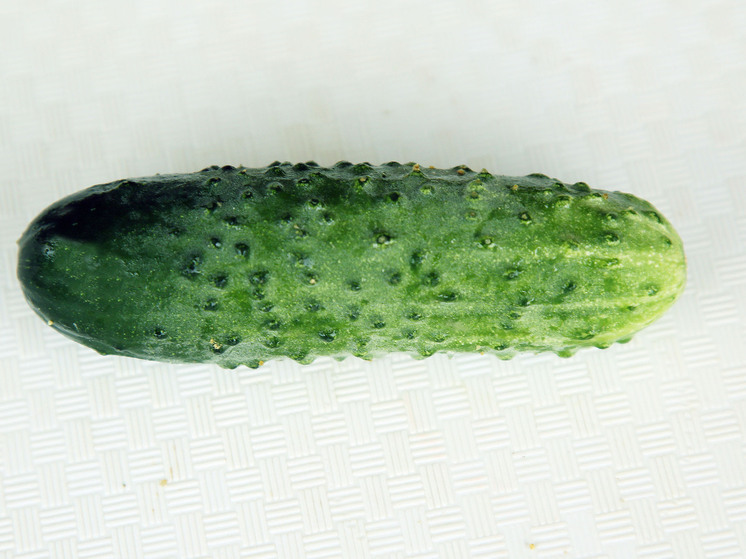 В Уфе девушка попала в больницу с надкусанным огурцом в заднем проходе