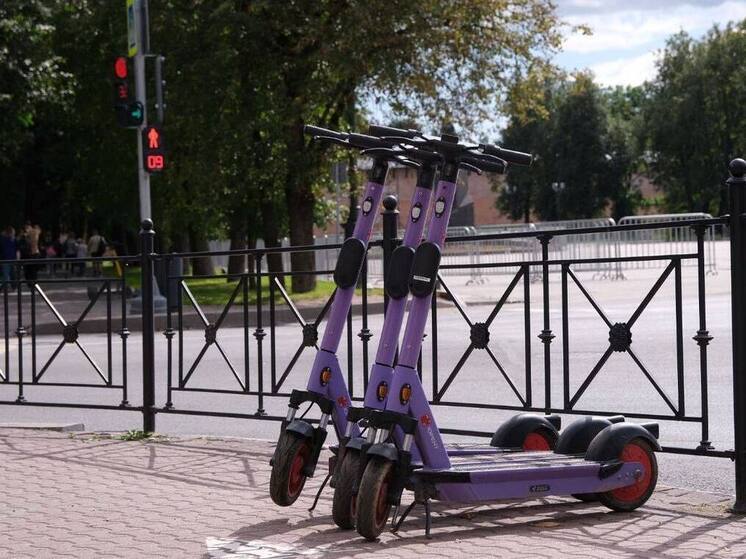 В Новгородской области усиливается контроль за СИМ после поручения Дронова