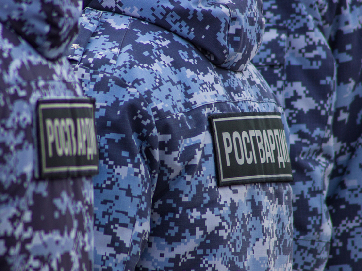 За неделю тульские росгвардейцы более 190 раз поднимались по сигналу «тревога»