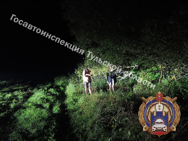 Под Тулой девочка на мопеде въехала в дерево и чуть не убила 9-летнюю подругу