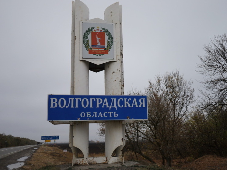 Под Волгоградом забывшего о сыне на 40 лет отца участника СВО лишили выплат