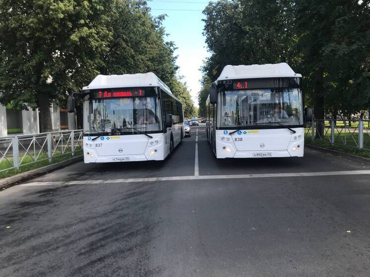 Водители новгородских автобусов попали в ДТП 19 раз в 2025 году