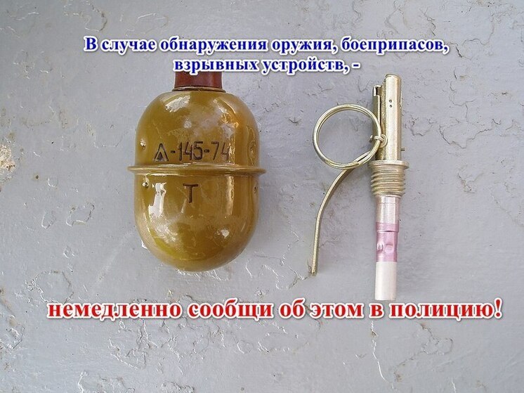 Жителя Анапы арестовали по делу о найденной на рыбалке гранате