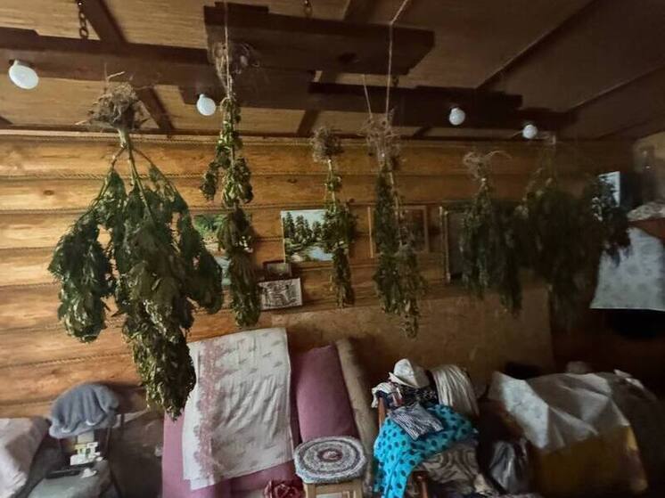 Полицейские пресекли незаконное культивирование конопли в Шиловском районе