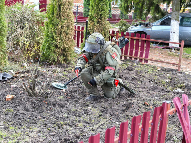 В курском приграничье за неделю обезвредили более 13 тысяч взрывоопасных предметов