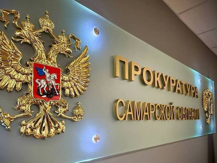 В Самарской области прокуратура проверит организаторов смертельного зиплайна