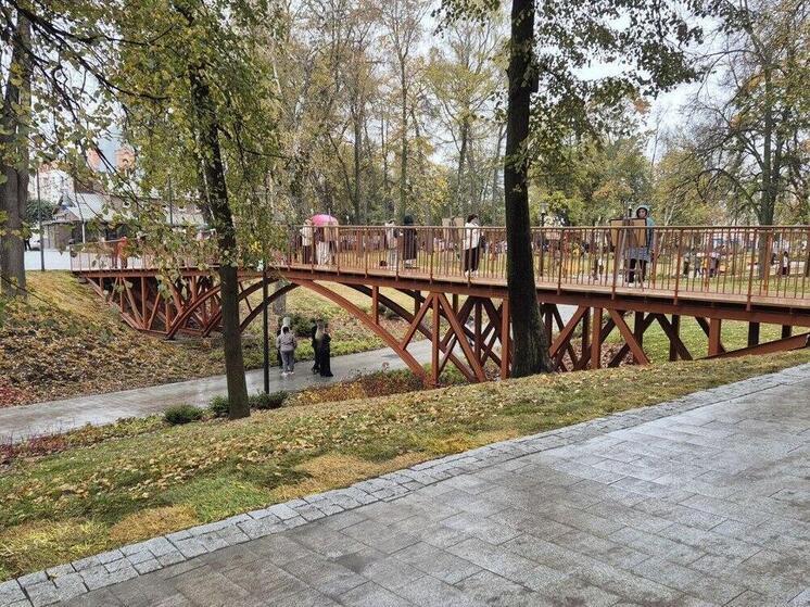 Верхний и Нижний городские парки Рязани свяжет новый пешеходный переход