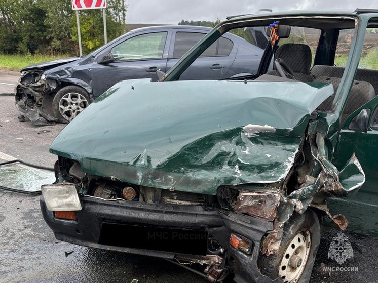 Под Калугой в «Оке» погиб 84-летний пенсионер