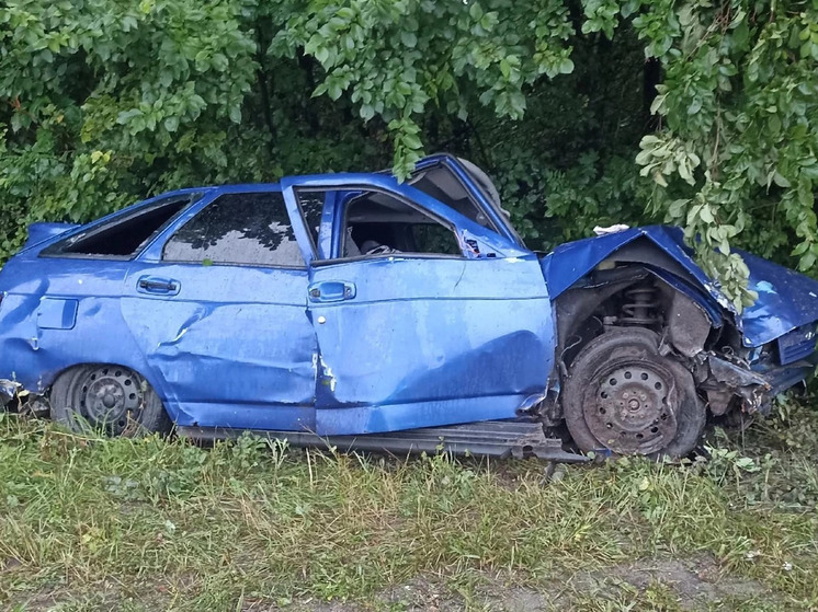 В Орловской области «ВАЗ» слетел в кювет