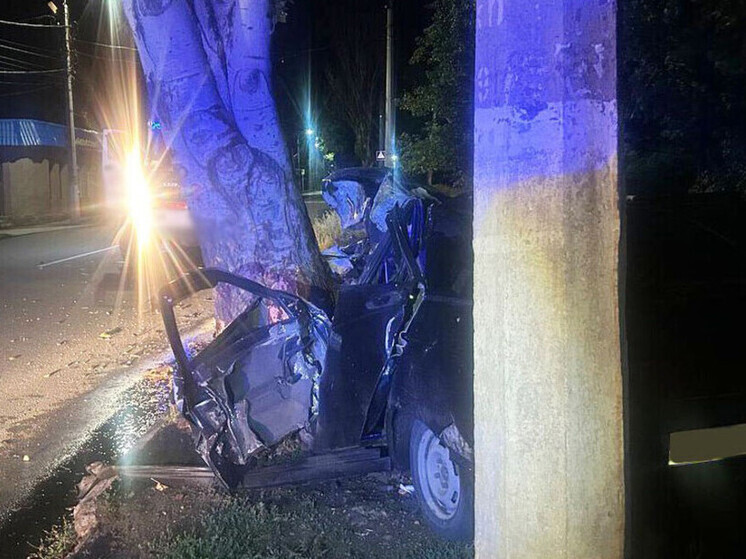 В Макеевке ВАЗ вылетел с дороги и врезался в дерево, погибли два человека