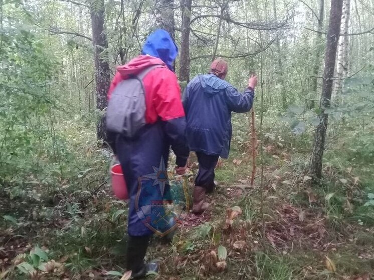 Ленинградские спасатели вывели из леса 14 «потеряшек» за неделю