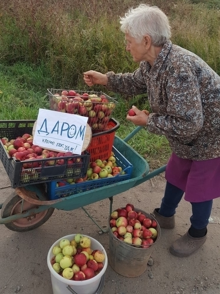 Костромская политэкономия: бабушка против рынка