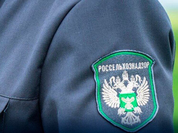 В Запорожской области завершили апробацию 140 гектаров посевов подсолнечника