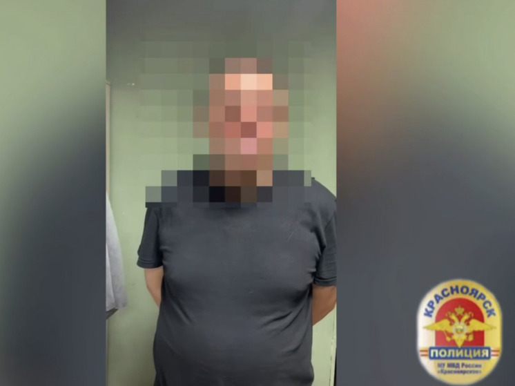 В Красноярске задержан мужчина, устроивший фейерверк на фестивале в мкрн Солнечный