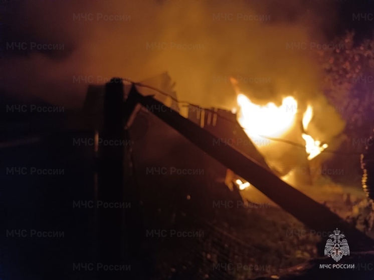 Ночью 11 пожарных тушили дом в Ферзикове