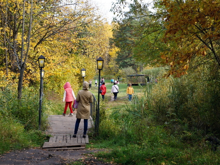 Бабье лето-2025: синоптики предрекают самый короткий сезон за последние годы - новый прогноз