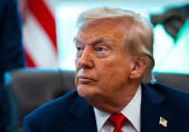 Дональд Трамп подписал указ о привлечении к уголовной ответственности тех, кто сжигает флаг США в знак протеста