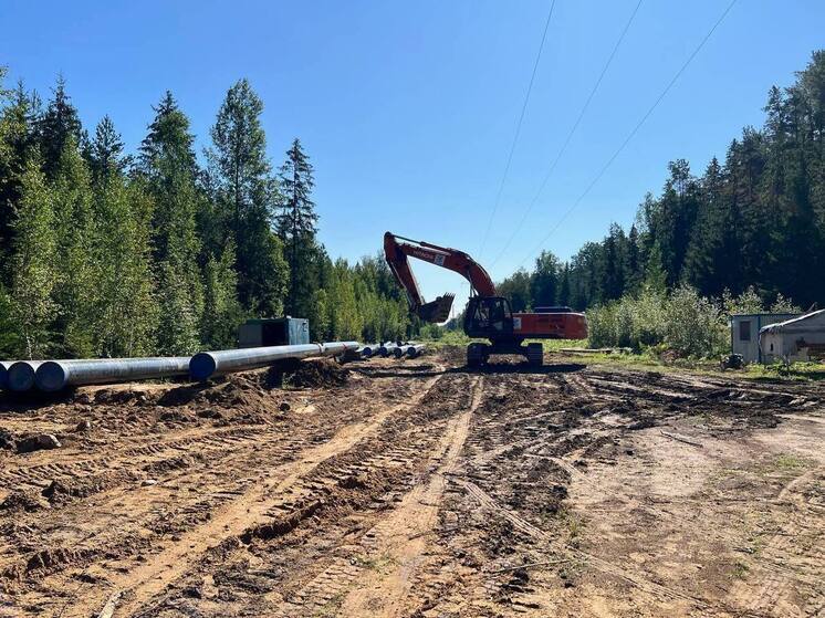 В Синявино-2 к природному газу смогут подключиться 230 домовладельцев
