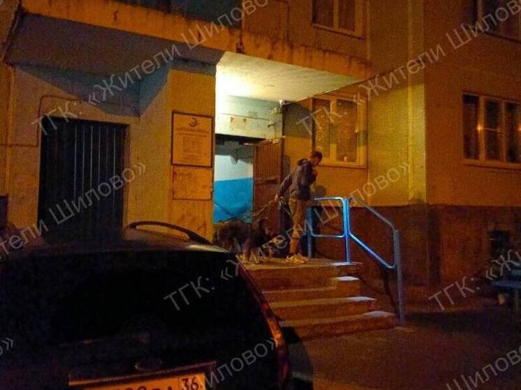 Воронежцы пожаловались на соседа, устроившего в квартире приют для животных