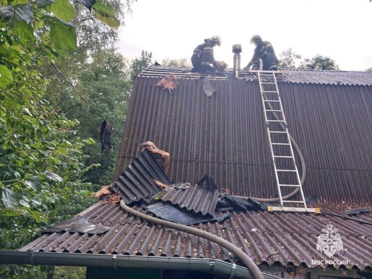 В селе Прокшино 25 августа произошел пожар в неэксплуатируемом здании