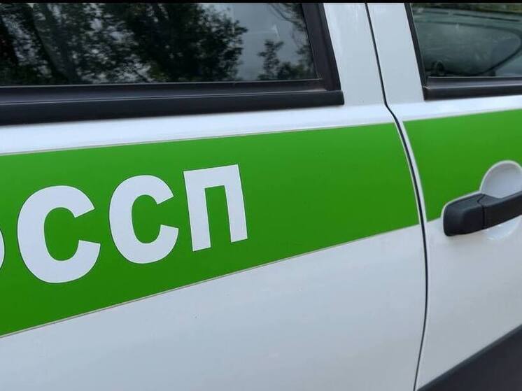 Из Саратова выдворили двоих иностранцев