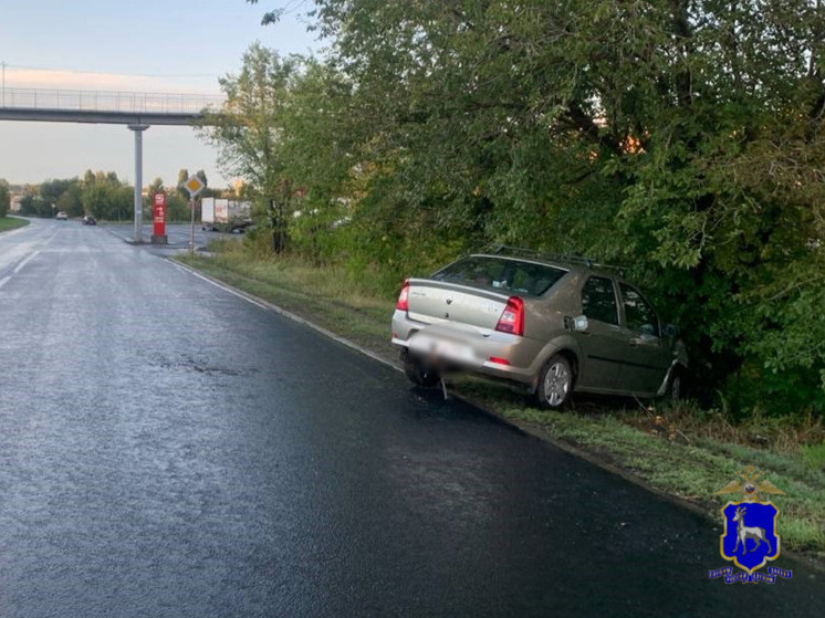 78-летний водитель Renault Logan влетел в дерево в Самарской области 25 августа