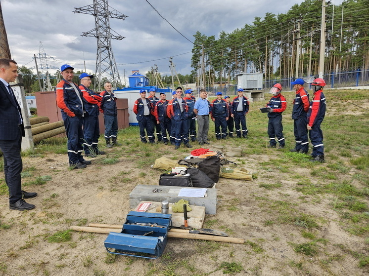 В филиале «Россети Центр и Приволжье» – «Мариэнерго» проведен День охраны труда
