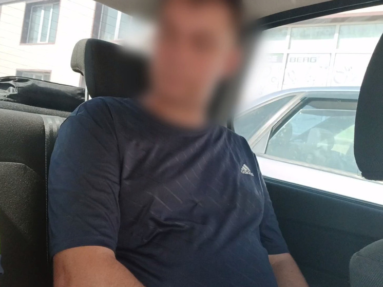 В Новотроицком округе Херсонской области задержали пьяного водителя