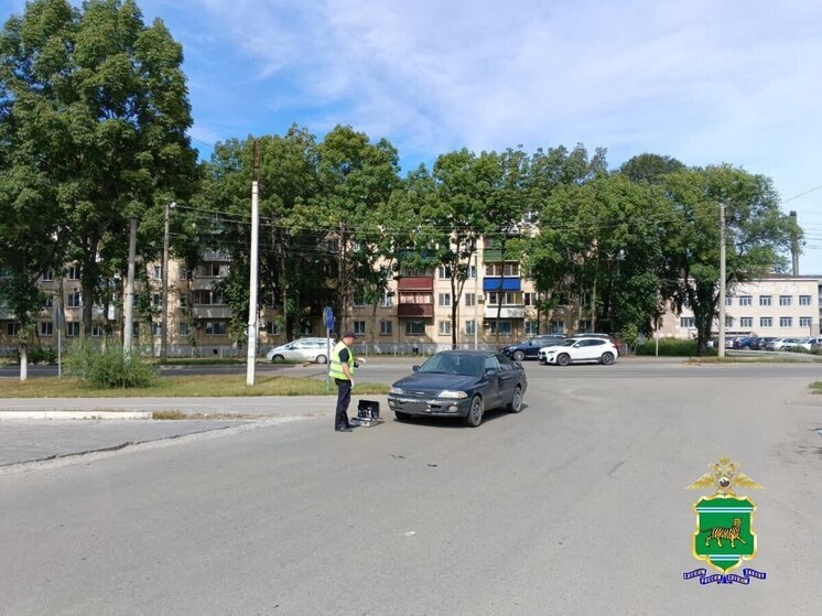 В Биробиджане пенсионерка пострадала при ДТП