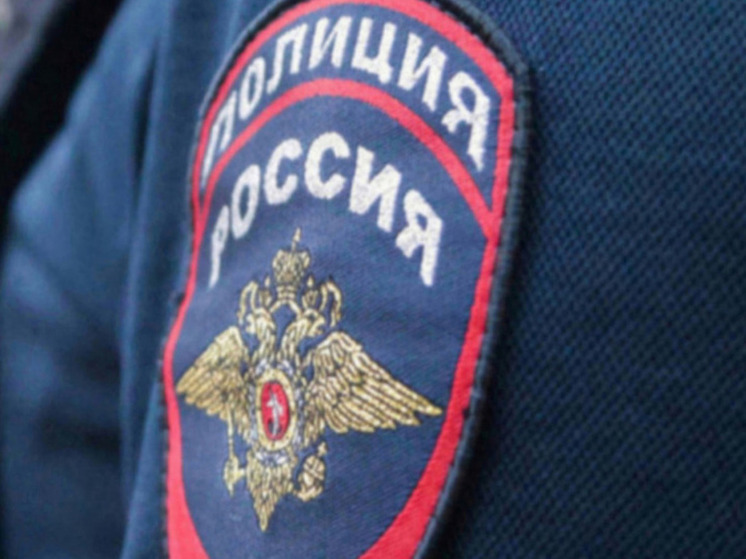 Иностранца задержали за попытку похищения подростка под Гатчиной