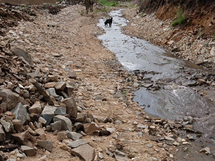 Более 10 промышленных предприятий загрязняют водоемы Забайкалья