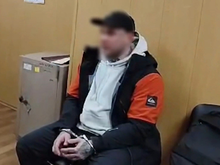 Задушил, расчленил и распихал по чемоданам: в Мурино распутали дело об убийстве