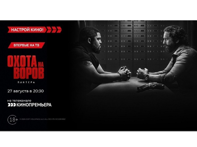 «Кинопремьера» покажет сиквел экшен-триллера – «Охота на воров: Пантера»