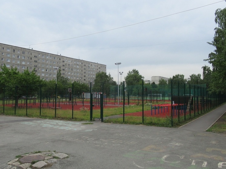 Впервые пройдет Кубок губернатора Курганской области по фиджитал-спорту