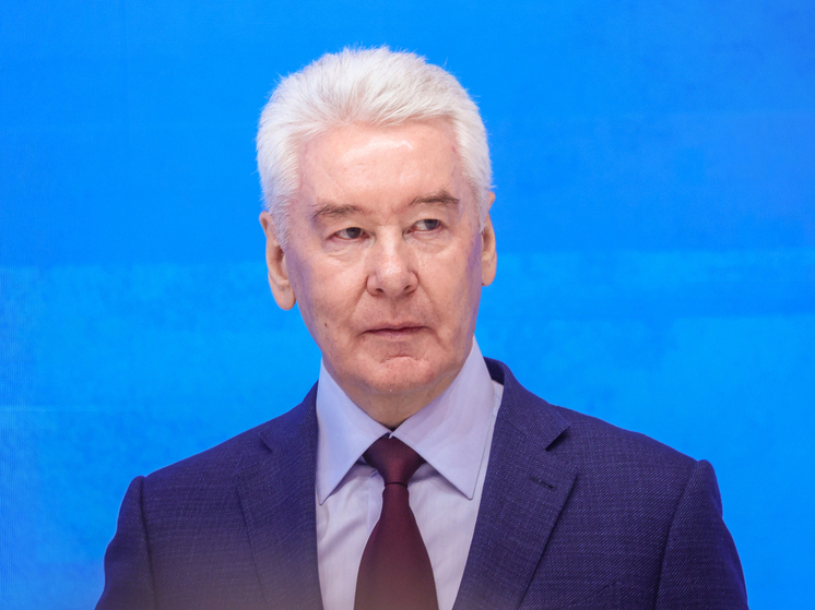 Собянин: занимаемся восстановлением Луганска и Донецка на системной основе