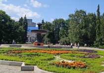 По требованию прокуратуры отменено взимание платы за фото- и видеосъемку на мобильные устройства в дендропарках Екатеринбурга