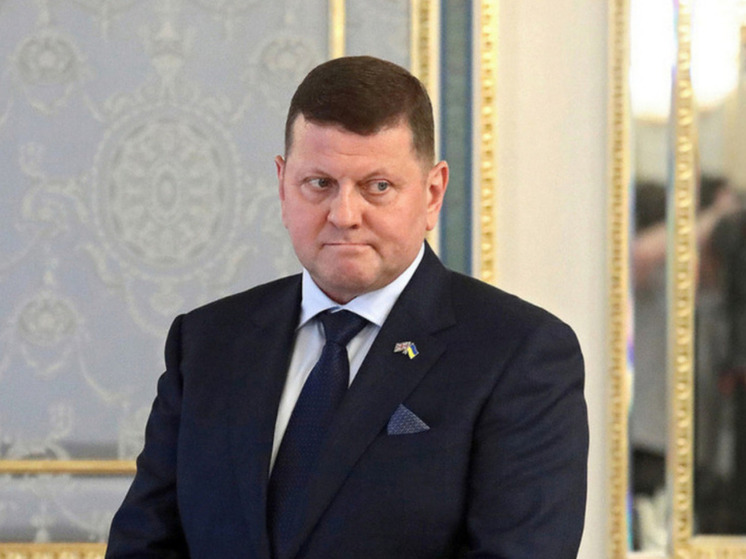 Посол Украины в Великобритании, бывший главком ВСУ Валерий Залужный в интервью украинской журналистке Иванне Коберник заявил, что российская военная наука лучше, чем украинская