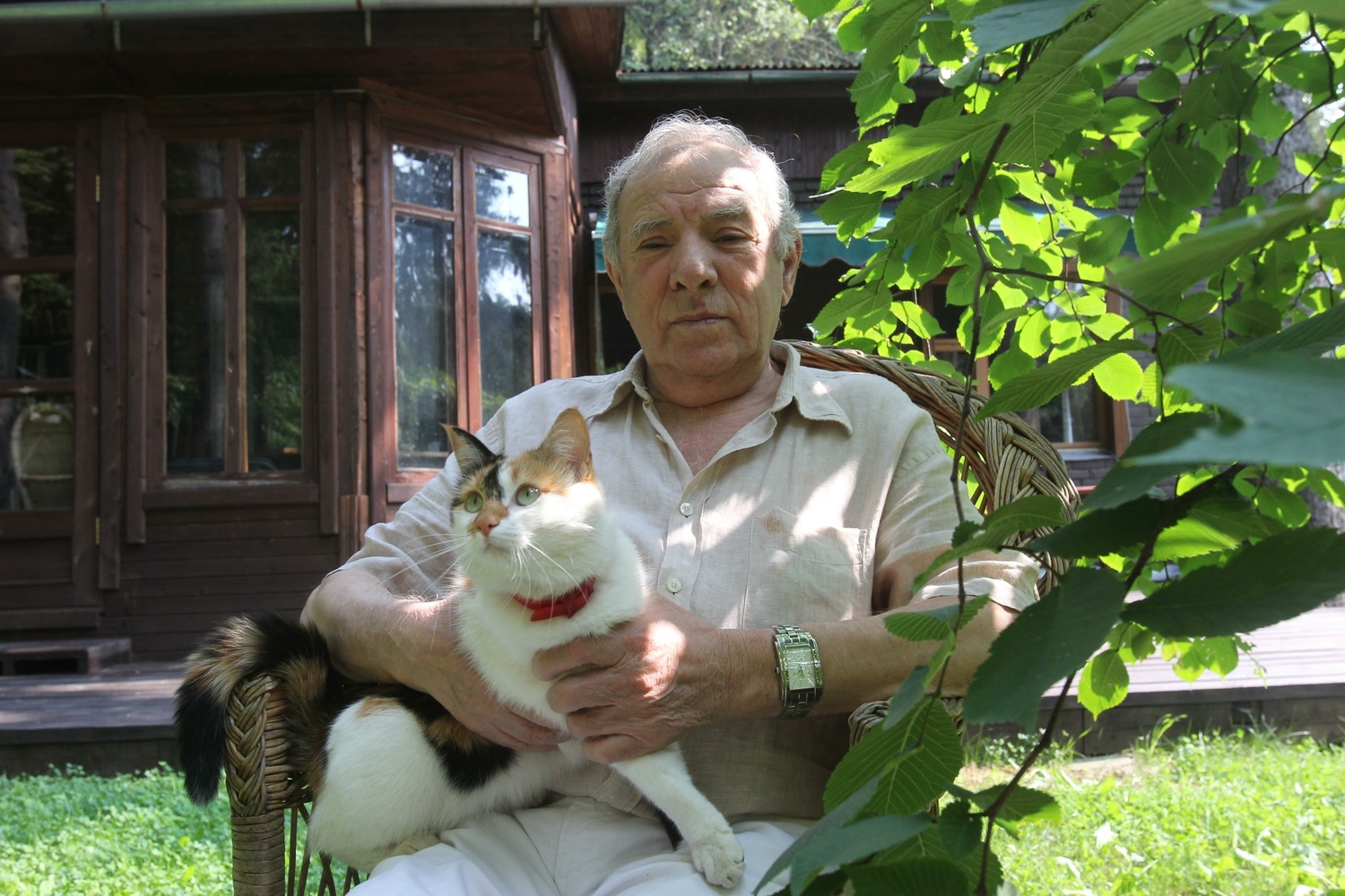 Петр Тодоровский