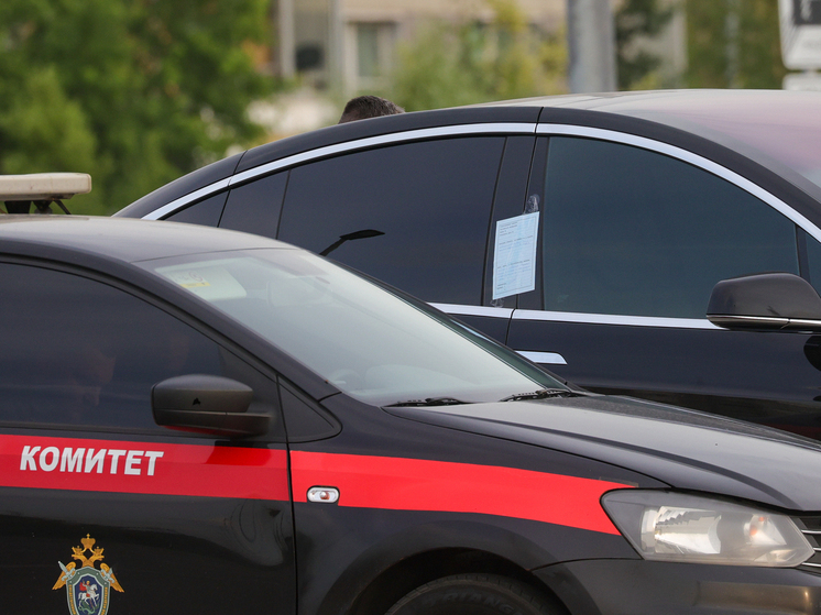 В СК начали проверку после инцидента с альпинисткой Наговициной