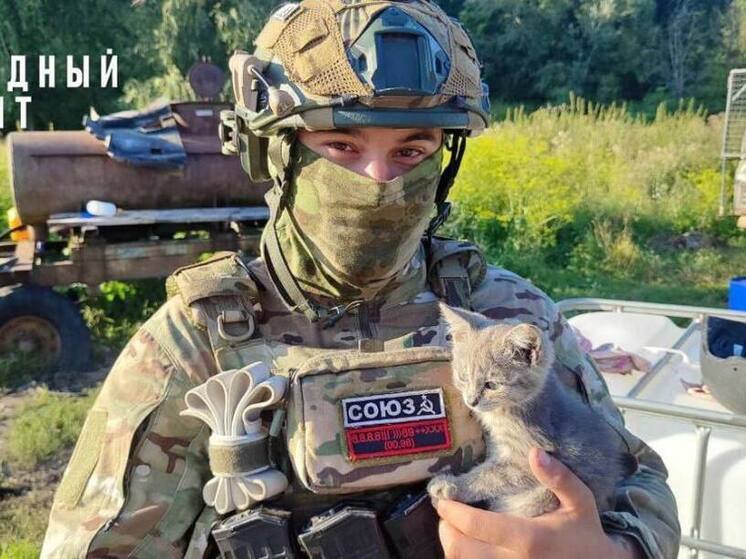 В тульском «Народном фронте» рассказали о дружбе бойца СВО и котенка