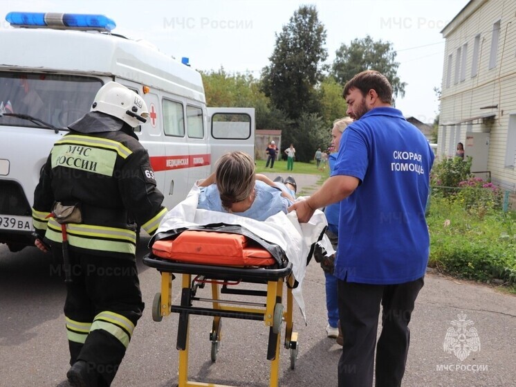 В Орловской области сотрудники МЧС 2 раза за сутки транспортировали людей в автомобили скорой помощи